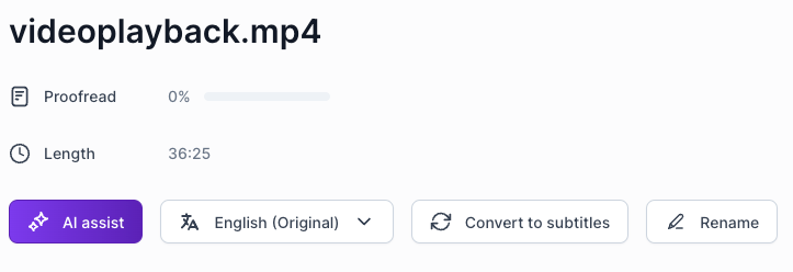 Transcription Summary Feature